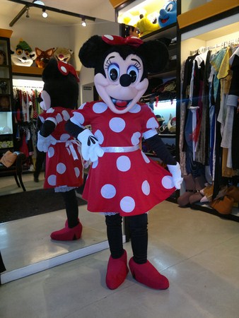 Disfraces De Minnie