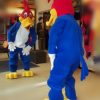 Pájaro Loco - Imagen 2