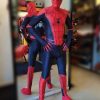 Hombre Araña - Imagen 2