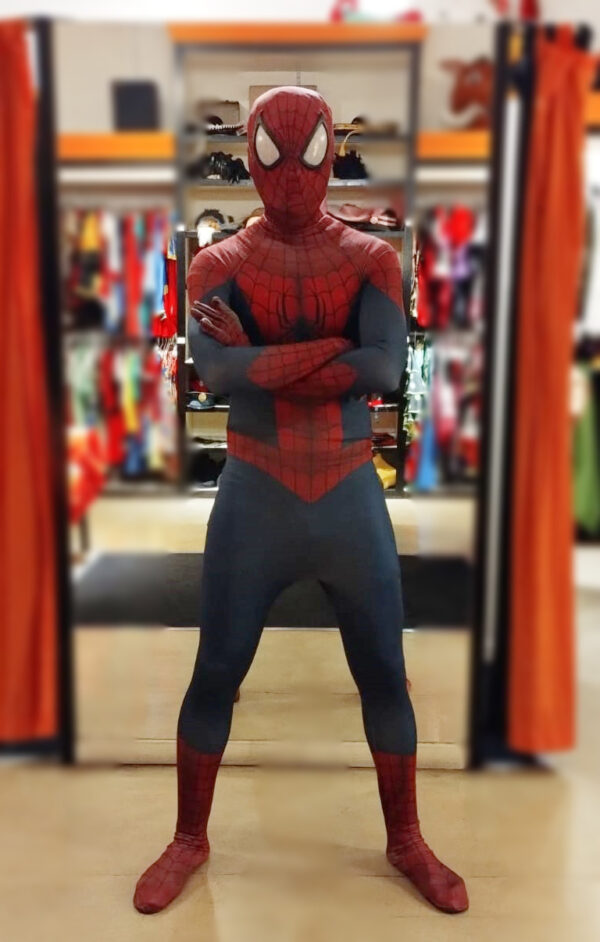 Hombre Araña - Imagen 2