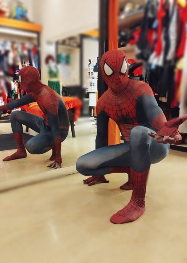 Hombre Araña - Imagen 4