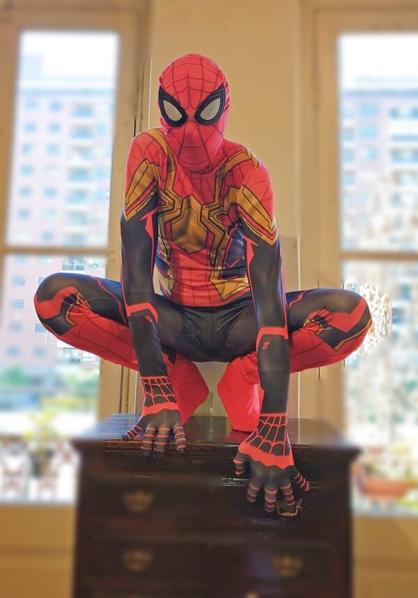 Hombre Araña - Iron - Imagen 4